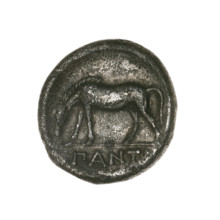 didrachma, Pantikapaion; obverse: head of a beardless Satyr in an ivy wreath facing left; reverse: