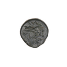 bronze coin, Pantikapaion; obverse: bull's head 3/4 to the right; reverse: plough to the left,