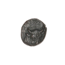 bronze coin, Pantikapaion; obverse: bull's head 3/4 right; reverse: plough left, above it ear of