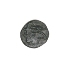 bronze coin, Pantikapaion, ears of corn, bull's head (iconographic), plows, Black Sea, bulls,