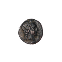 Bronze coin, Pantikapaion; obverse: head of Apollo to the right; ear of corn to the left;