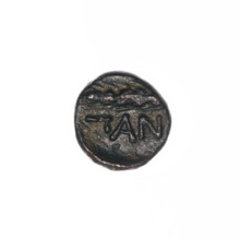 Bronze coin, Pantikapaion; obverse: head of Apollo to the right, ear of corn to the left,