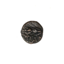 bronze coin, Pantikapaion; obverse: head of Apollo to the right; obverse: ear of corn to the left,