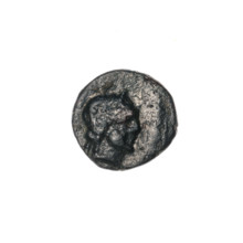 Bronze coin, Pantikapaion; obverse: head of Apollo to the right; ear of corn to the left,