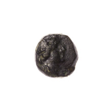 bronze coin, Pantikapaion; obverse: head of Apollo to the right; reverse: dolphin to the left,