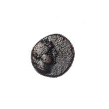 bronze coin, Pantikapaion, dolphins, head of Apollo (iconographic), Black Sea, Apollo (mythology),