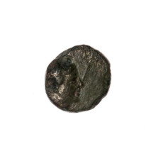 Bronze coin, Pantikapaion; obverse: head of Apollo to the right, dolphin to the left, inscription