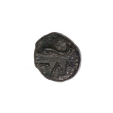 Bronze coin, Pantikapaion; obverse: head of Apollo to the right, dolphin to the left, inscription