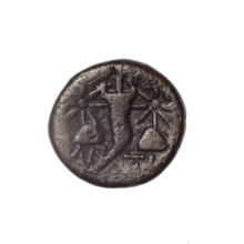 Bronze coin from Pantikapaion; obverse: head of bearded Satyr in ivy wreath facing left; reverse: