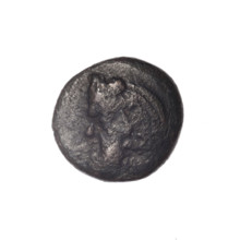 bronze coin, Pantikapaion, Dioscuri caps (iconographic), Satyr's head (iconographic), Black Sea,