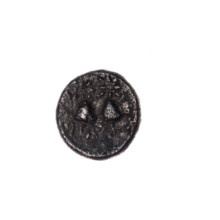bronze coin, Pantikapaion; head of Satyr (iconographic); Dioscuri caps (iconographic); Black Sea;