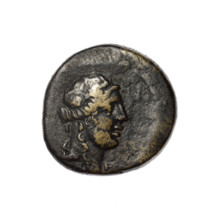 Bronze coin, Pantikapaion; obverse: head of Apollo in a laurel wreath facing right; reverse: