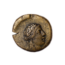 Bronze coin, Pantikapaion; obverse: head of Apollo in a laurel wreath to the right; reverse: