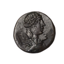 bronze coin, Pantikapaion; obverse: head of Apollo in a laurel wreath to the right, rectangular