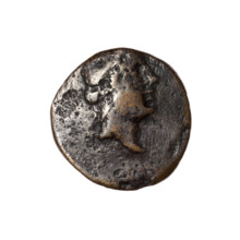 Bronze coin, Pantikapaion; obverse: head of Apollo in a laurel wreath facing right; reverse: