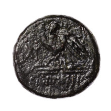 bronze coin, Pantikapaion; obverse: head of Apollo in a laurel wreath facing right; reverse: eagle