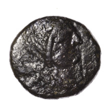 Bronze coin, Pantikapaion; obverse: head of Apollo in a laurel wreath facing right; reverse: eagle