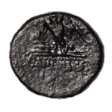 Bronze coin, Pantikapaion; after 63 BC, Cimmerian Bosporus. Obverse: head of Apollo in a laurel