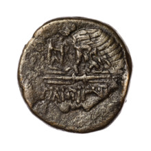 bronze coin, Pantikapaion; obverse: head of Apollo in a laurel wreath facing right; reverse: eagle