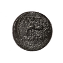 Bronze coin, Pantikapaion; obverse: head of Apollo in laurel wreath facing right; reverse: Pegasus