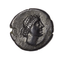 bronze coin, Pantikapaion; obverse: head of Apollo in laurel wreath facing right; reverse: grazing