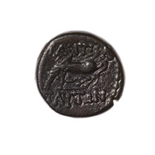 Bronze coin, Pantikapaion; obverse: head of Apollo in laurel wreath facing right; reverse: grazing