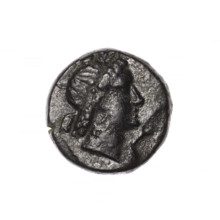 Bronze coin, Pantikapaion; obverse: head of Apollo in laurel wreath facing right; reverse: grazing