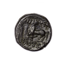 Bronze coin, Pantikapaion; obverse: head of Apollo in laurel wreath facing right; reverse: grazing