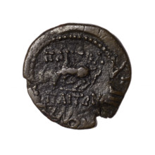 bronze coin, Pantikapaion; obverse: head of Apollo in laurel wreath facing right; reverse: grazing