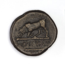bronze coin, Chersonesos, bulls, Artemis killing a doe (iconographic), quivers, clubs, Black Sea,