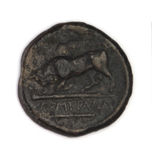 bronze coin, Chersonesos, bulls, Artemis killing a doe (iconographic), quivers, clubs, Black Sea,