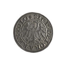 Gdansk szelag, Sigismund I the Old (King of Poland; 1506–1548). Obverse: Eagle of Royal Prussia; in