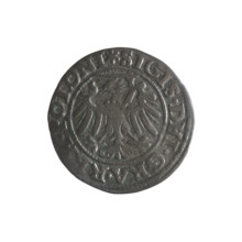 Gdansk szelag, Sigismund I the Old (King of Poland; 1506–1548). Obverse: Eagle of Royal Prussia, in