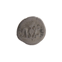 Denarius, Antoninus Pius (86–161; Roman emperor 138–161), obverse: head of Antoninus Pius in laurel