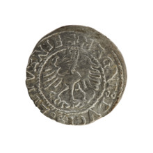 Lithuanian half-grosz, Sigismund I the Old (king of Poland; 1506–1548). R8 (rarity). Polish coin of