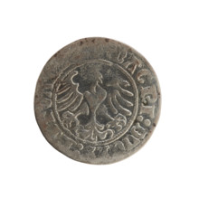 Lithuanian half-grosz, Sigismund I the Old (King of Poland; 1506–1548). Polish coin of the