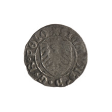Gdansk szelag, Sigismund I the Old (King of Poland; 1506–1548). Polish coin (1525). Obverse: