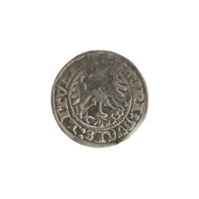 Lithuanian half-grosz, Sigismund I the Old (King of Poland; 1506–1548). Obverse: Pogon (Lithuanian