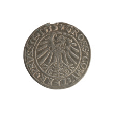 Prussian grosz, Sigismund I the Old (King of Poland; 1506–1548), 1535. Obverse: Crowned male bust