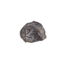 Fragment of a double-sided Drohiczyn seal. On one side a cross with one arm ending in a triangle