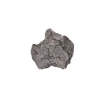 Fragment of a double-sided Drohiczyn seal. On one side, a cross with one arm ending in a triangle