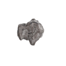 Fragment of a double-sided Drohiczyn seal. One side: a cross with one arm ending in a triangle (an