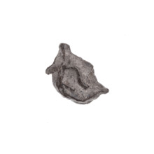Drohiczyn seal — fraction of a double-sided seal. One side: a bident with a crossed-out right arm.