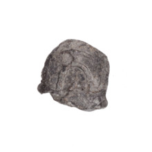 Drohiczyn seal; guild seals; customs seals; town seals; customs chamber seals; official seals;