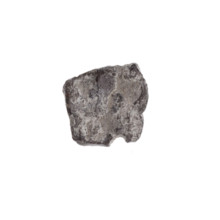 Fragment of a double-sided Drohiczyn seal. On one side a probably two-pronged shape is visible; on