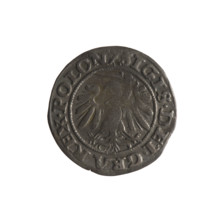 Gdansk szelag, Sigismund I the Old (King of Poland; 1506–1548). Obverse: Eagle of Royal Prussia; in