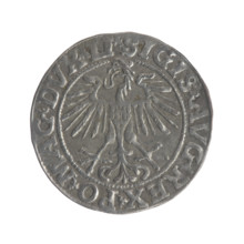 Lithuanian half-grosz, Sigismund II Augustus (King of Poland; 1544–1572). Obverse: Polish eagle; in