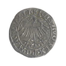 Lithuanian half-grosz, Sigismund II Augustus (King of Poland; 1544–1572). Obverse: Polish Eagle; in