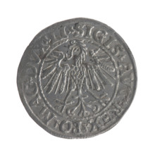 Lithuanian half-grosz, Sigismund II Augustus (King of Poland; 1544–1572). Obverse: Polish Eagle; in