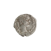 Denarius, Roman deities — Minerva; Septimius Severus (Roman emperor, 146–211) — iconography: